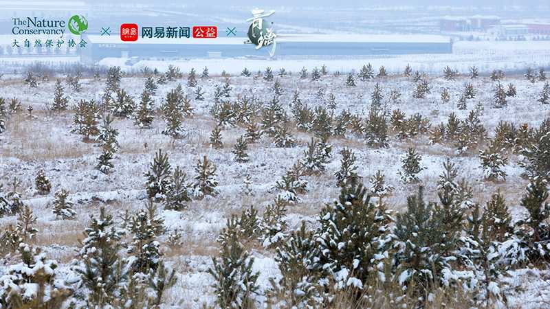 开启绿水青山之旅  网易东方侠客独立手游《青璃》今日iOS首发