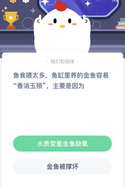 蚂蚁庄园金鱼 金鱼容易香消玉殒[多图]图片2