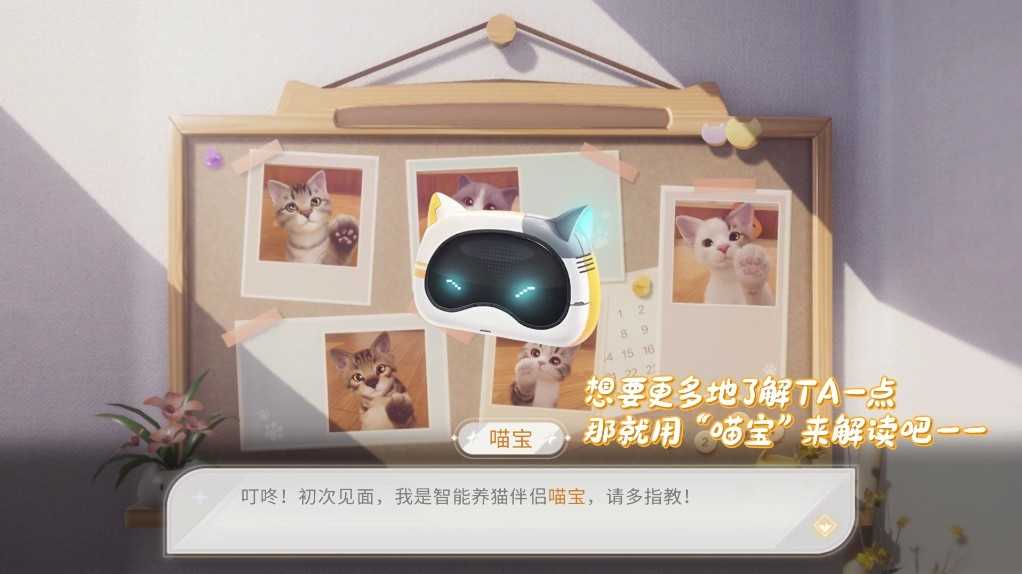 我和我的猫3