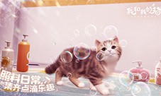 猫咪集结中 西山居休闲社交《我和我的猫》测试开启