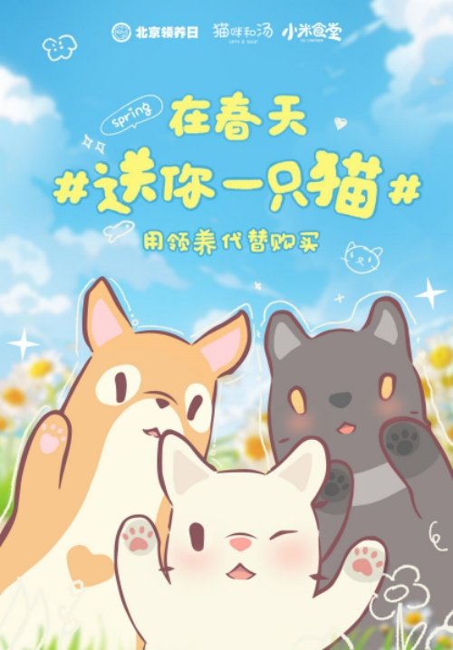 猫咪和汤×北京领养日×小米食堂 送你一只猫(猫咪和汤魔法食谱)